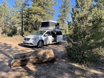 2018 Dodge Grand Caravan - Campervan RV on RVnGO.com