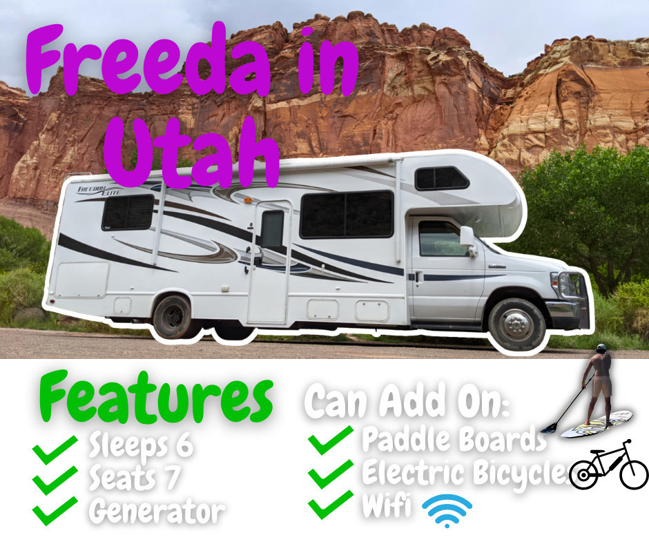 "Freeda" 2013 Thor Motor Coach Chateau 28Z
