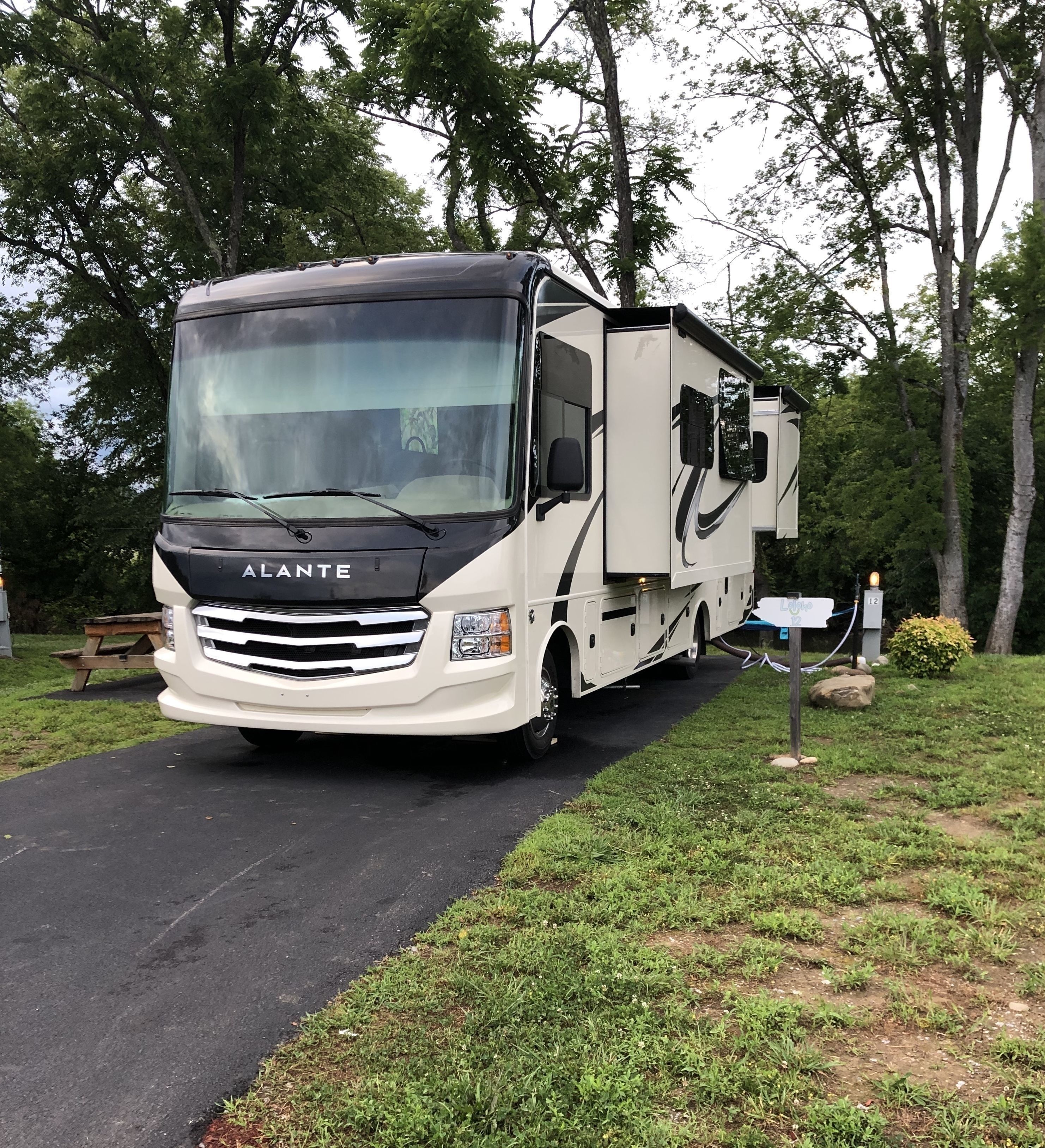 2020 Jayco Alante 31v